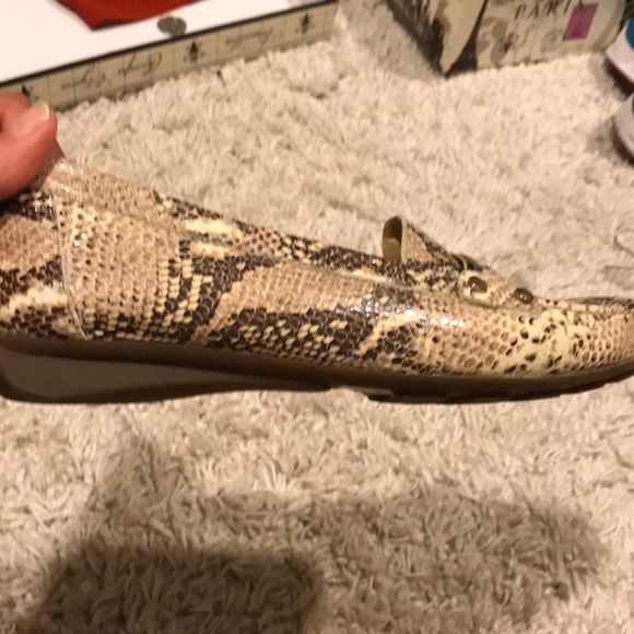 Geox respira - Picture 6 of 8